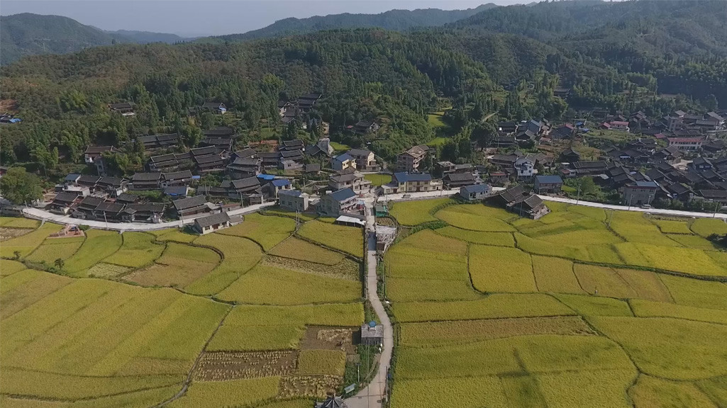 田野中国：乡村振兴 正逢其时